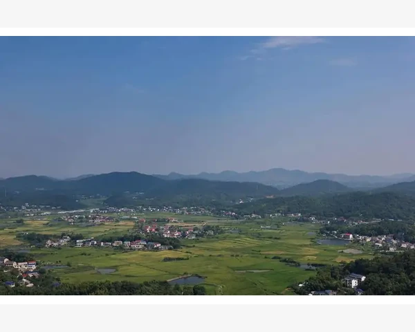 会计证调转单位证明办理流程与注意事项