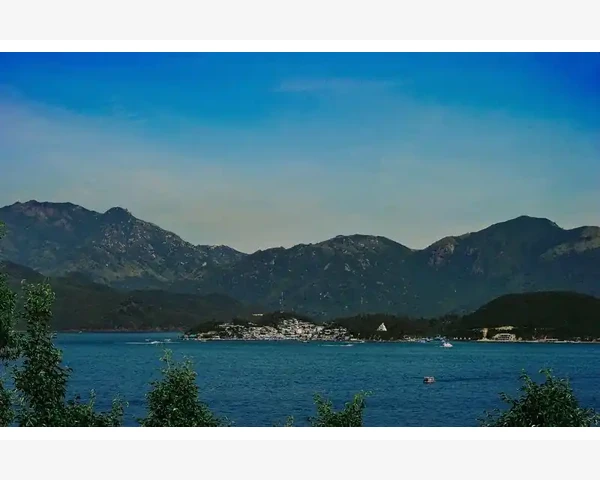 丁香能否止咳化痰？探究中医的疗效及适用情况